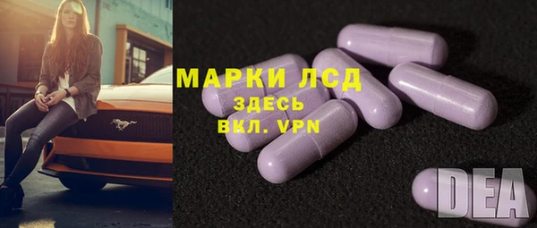 СК Верея