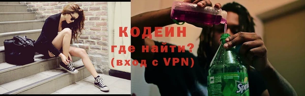 мдпв Богородск